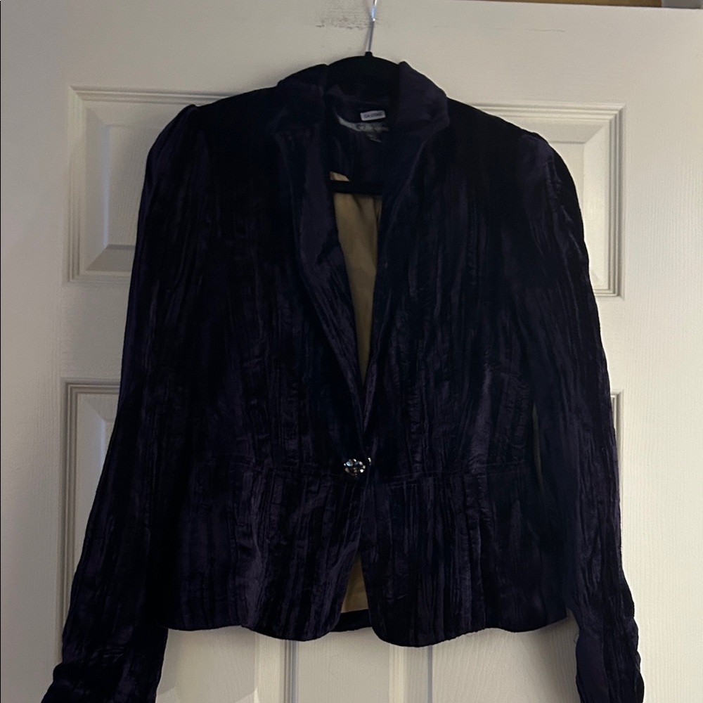 Elegant Purple Velvet Women's Jacket